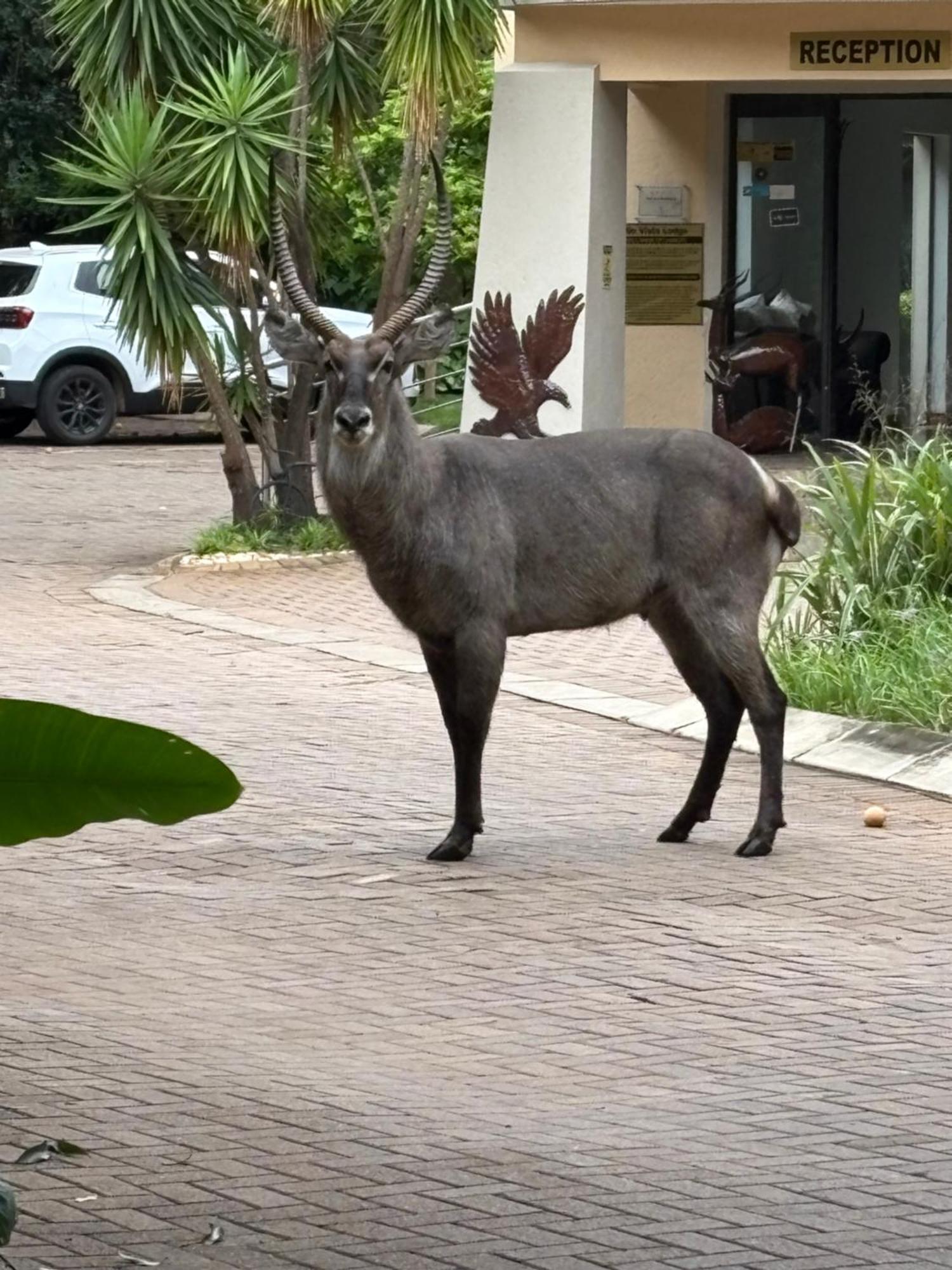 Rio Vista Lodge ماليلين المظهر الخارجي الصورة